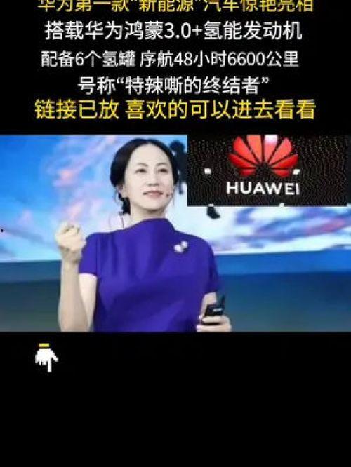 国产你懂,揭秘国产你懂背后的创新与实力  第2张