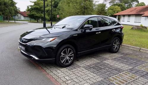 国产18p,探索中国影视产业的创新与突破  第3张