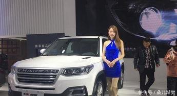 精选国产,精选国产生态的崛起与未来展望  第2张