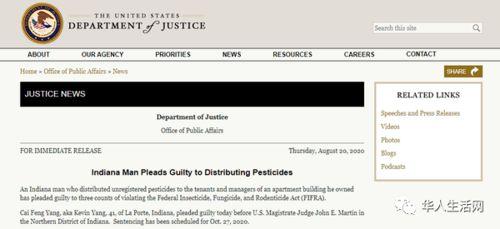 国产华人在线,探索中国互联网文化新篇章  第2张