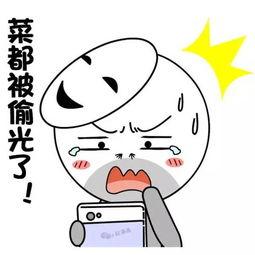 娱乐吃瓜酱敷衍,敷衍吃瓜,揭秘幕后真相